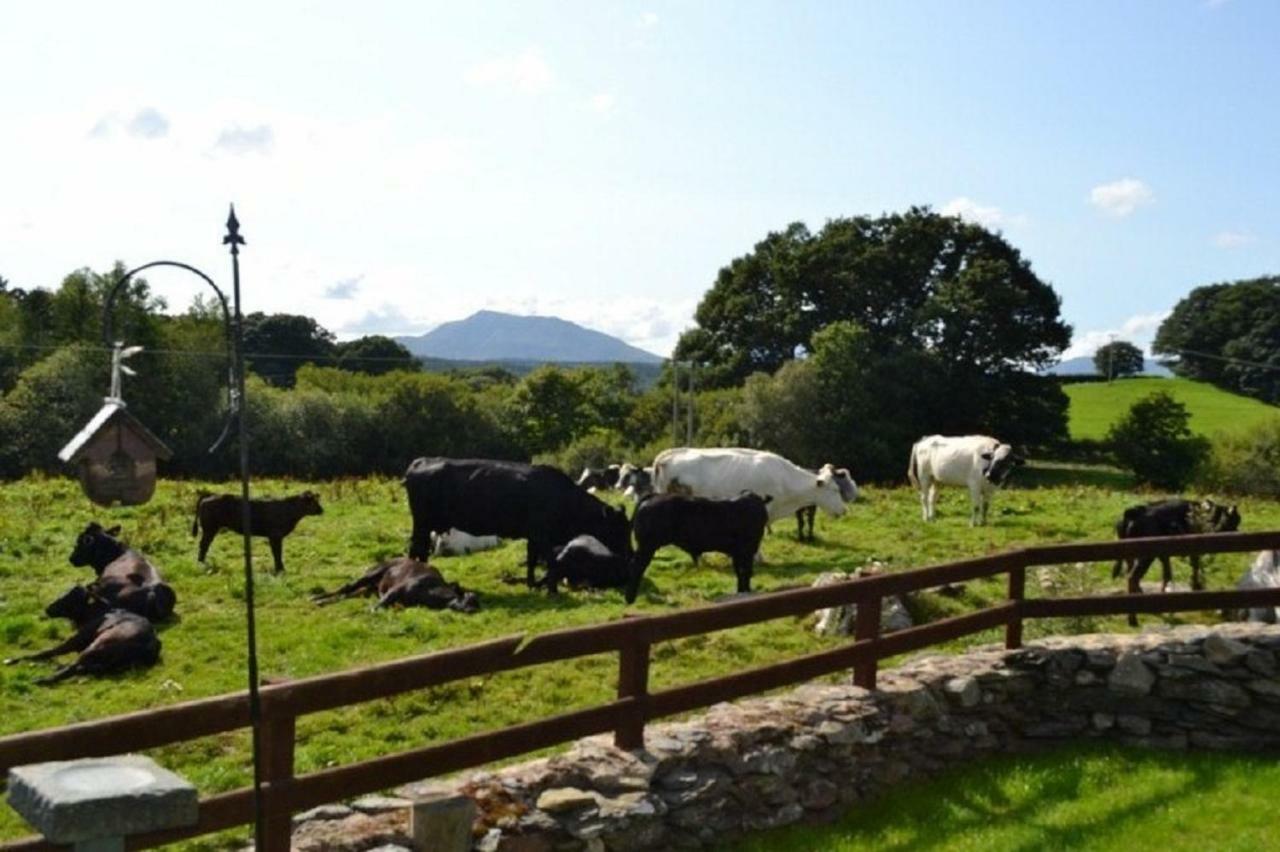 Old Coach House, Betws Y Coed, Snowdonia Villa ภายนอก รูปภาพ